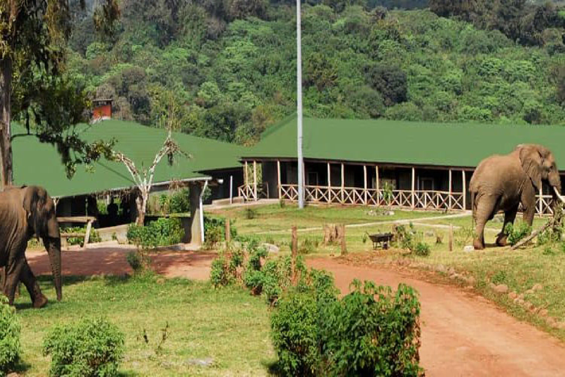 Ngorongoro Rhino Lodge.