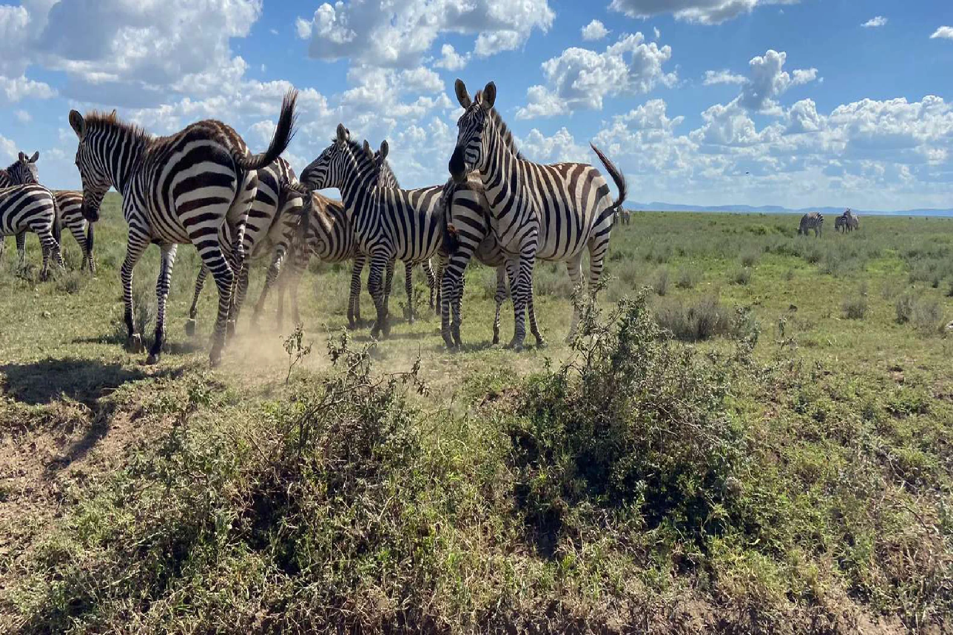 Tarangire National Park