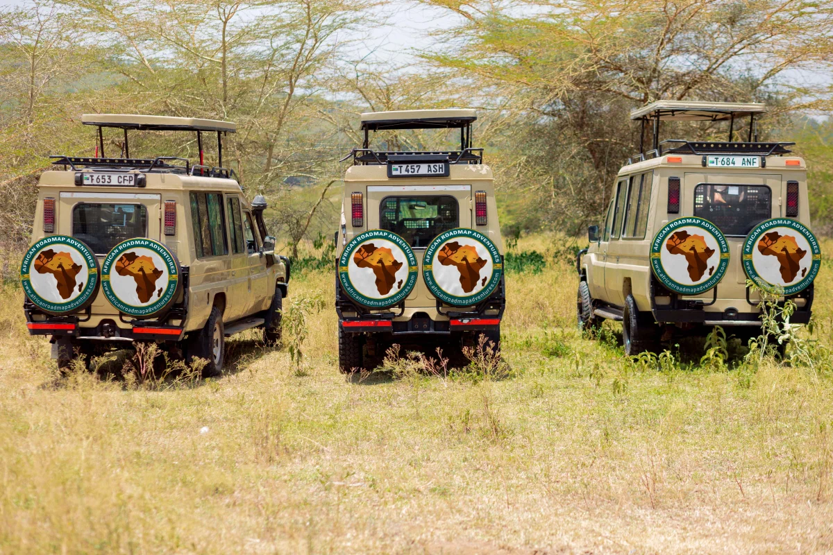 African Roadmap Adventures